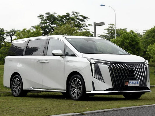 GAC GN8 (2022) - 22.02.2024