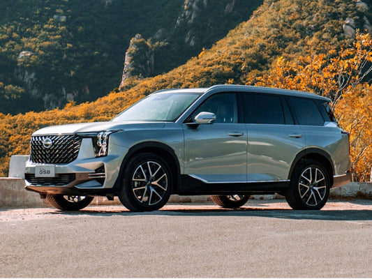 GAC GS 8 (2023) - 18.04.2024