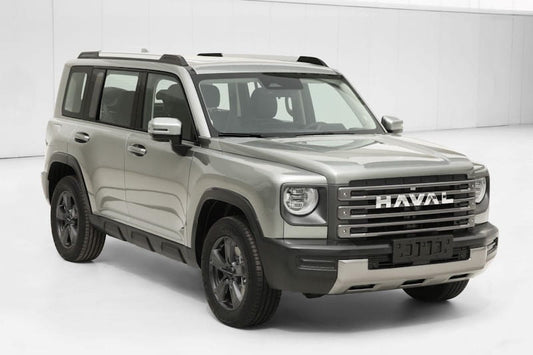 Haval Menlong (2023) - 09.05.2024