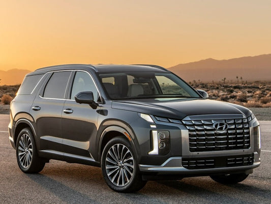 Hyundai Palisade (2022) Calligraphy - 21.07.2023