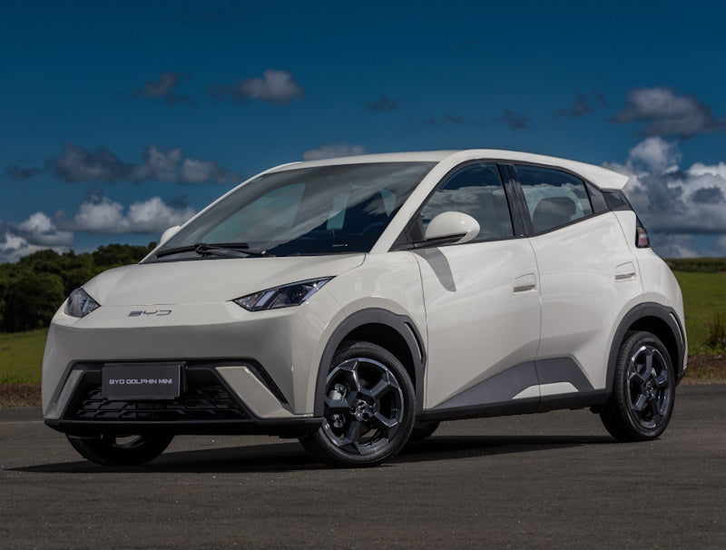 BYD Dolphin Mini (2024) - 20.02.2026